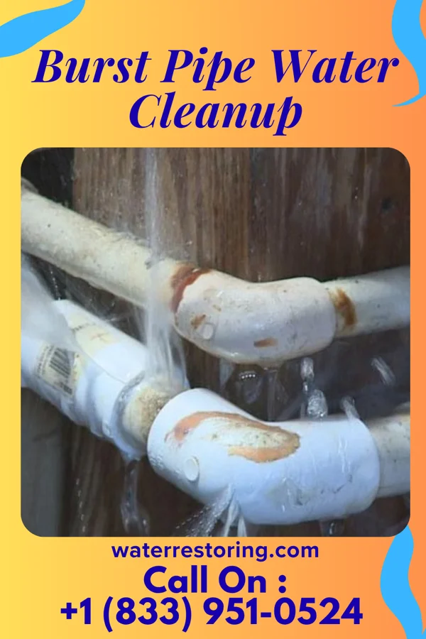Burst Pipe Water Cleanup in Camden, MI