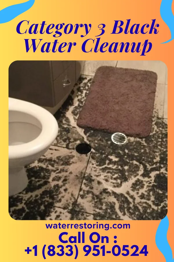 Category 3 Black Water Cleanup in Camden, MI