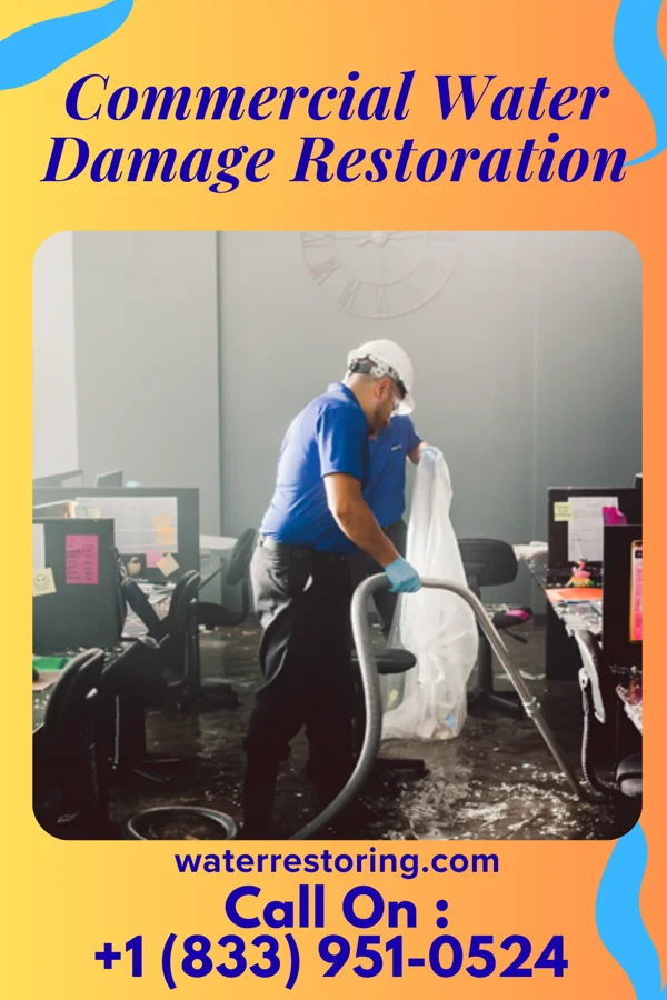 Commercial Water Damage Restoration in Camden, MI