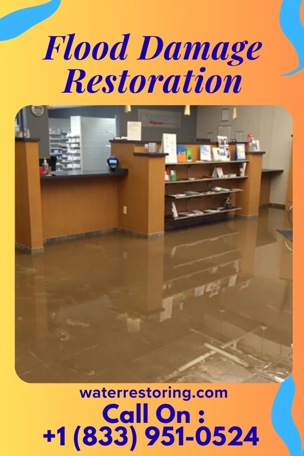 Flood Damage Restoration in Camden, MI