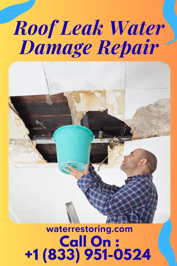 Roof Leak Water Damage Repair in Camden, MI