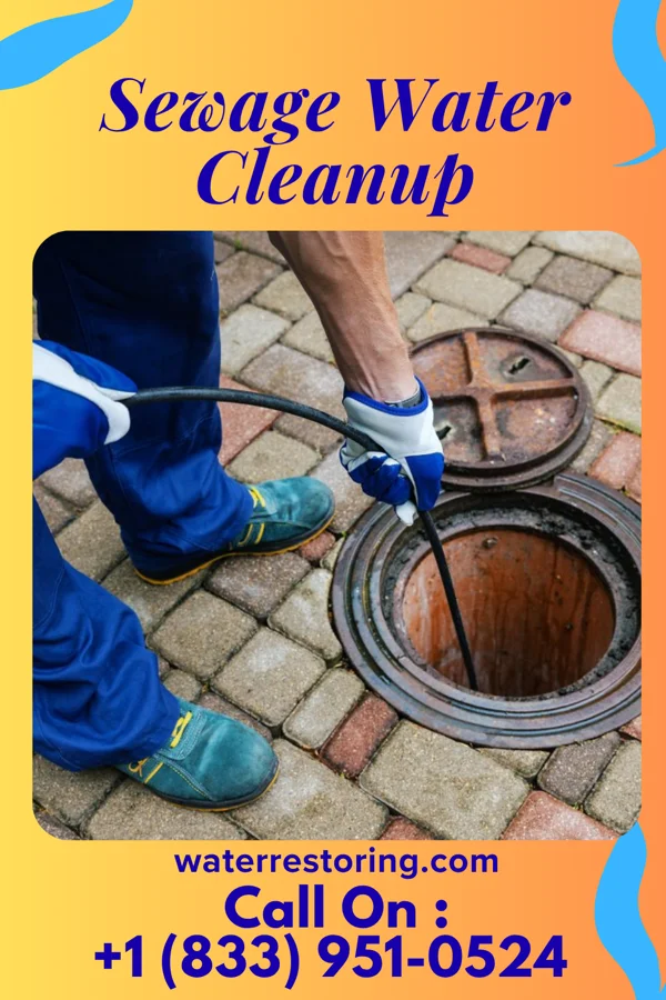 Sewage Water Cleanup in Camden, MI